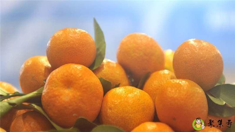 冬天沙糖桔怎么保存不会坏