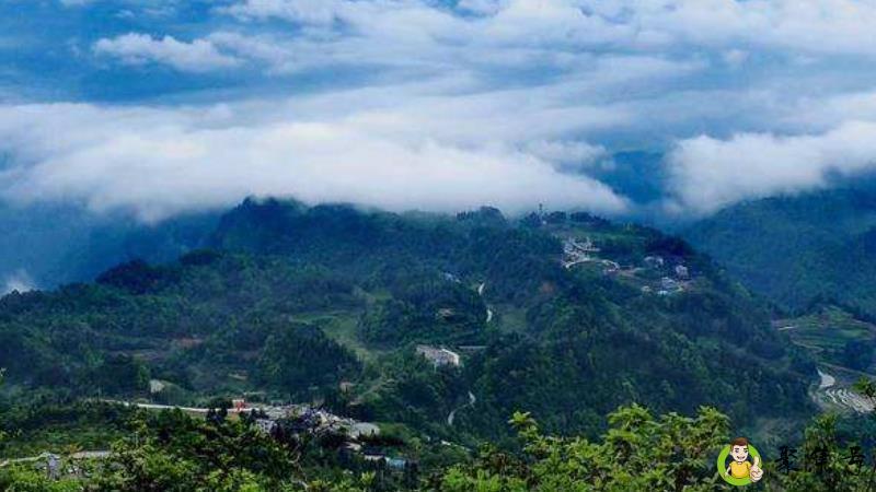 贵州迷雾村在哪