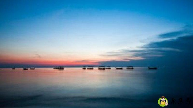 清欢度是什么意思