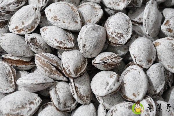 真杏和假杏的区别