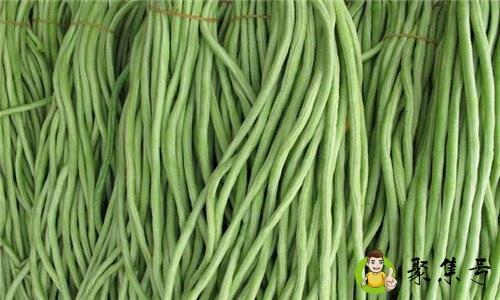 江豆和豇豆的区别