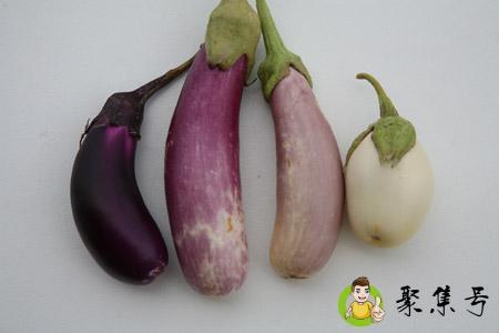 白茄子和紫茄子的区别