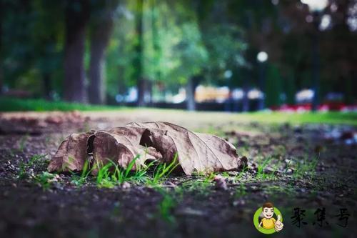 人生本过客何必惹尘埃什么意思