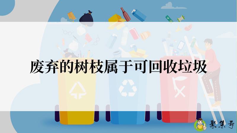 废弃的树枝属于可回收垃圾