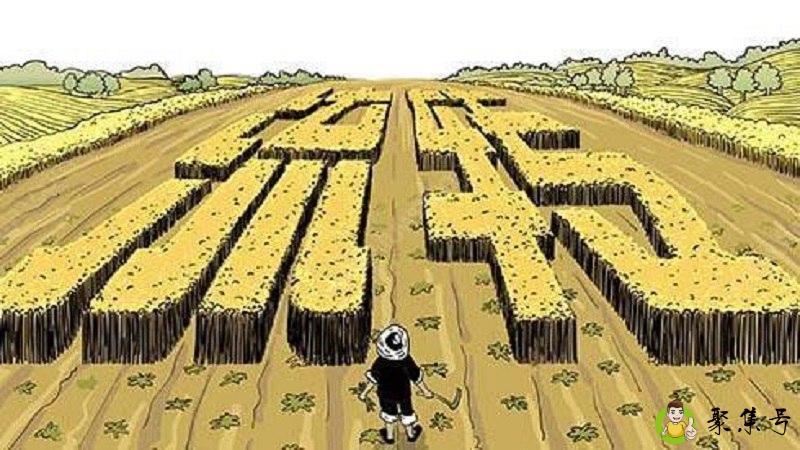 详细阅读:土地流转是什么意思 土地流转是什么意思