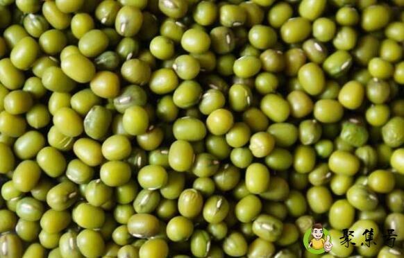 详细阅读:绿豆太多了可以做什么吃 绿豆太多了可以做什么吃