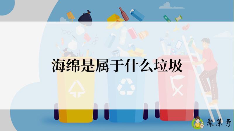 详细阅读:海绵是属于什么垃圾 海绵是属于什么垃圾