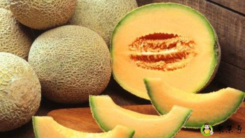 详细阅读:西州蜜和哈密瓜区别 西州蜜和哈密瓜区别