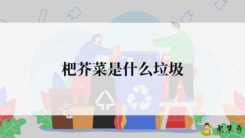 详细阅读:杷芥菜是什么垃圾 杷芥菜是什么垃圾