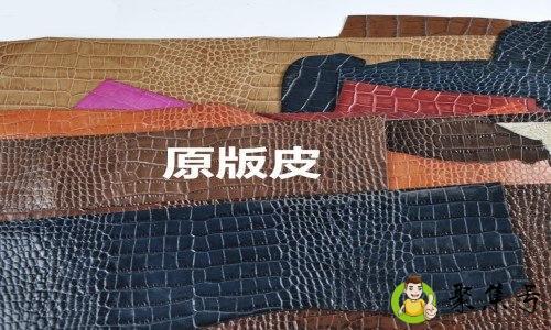 原版皮是什么意思