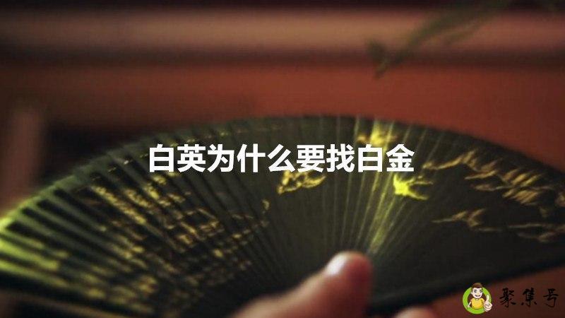 白英为什么要找白金