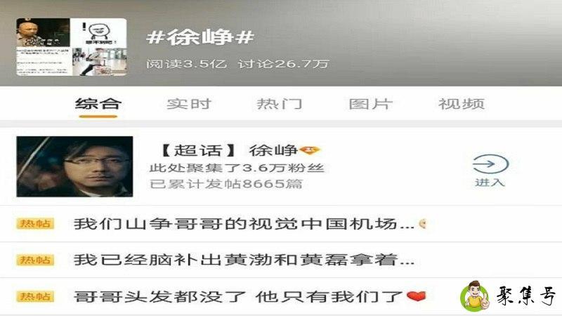 为爱豆做数据什么意思