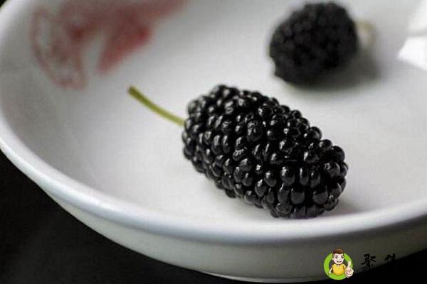 详细阅读:桑葚洗了可以放多久 桑葚洗了可以放多久