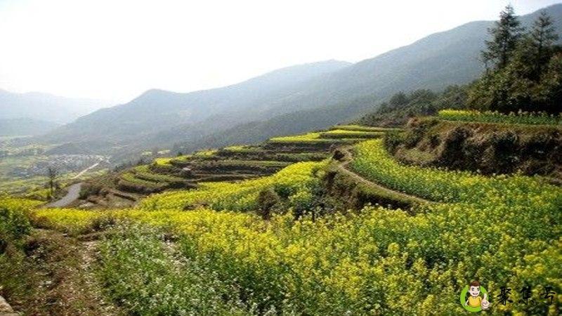 详细阅读:春江水暖鸭先知的意思 春江水暖鸭先知的意思