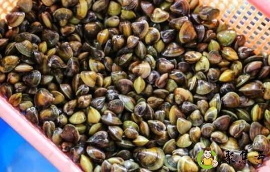 详细阅读:黄沙蚬的功效与作用 黄沙蚬的功效与作用