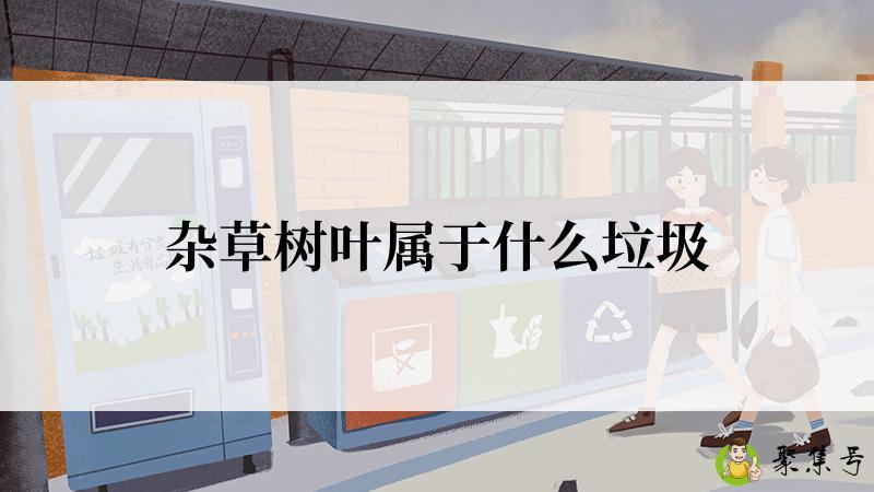 详细阅读:杂草树叶属于什么垃圾 杂草树叶属于什么垃圾