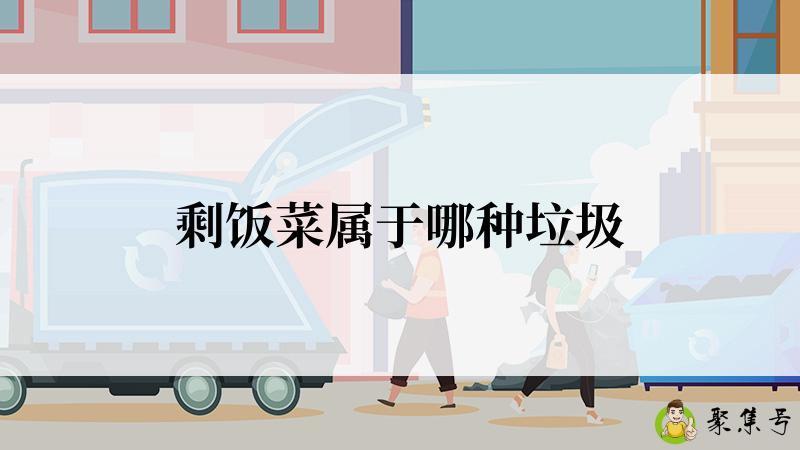 详细阅读:剩饭菜属于哪种垃圾 剩饭菜属于哪种垃圾