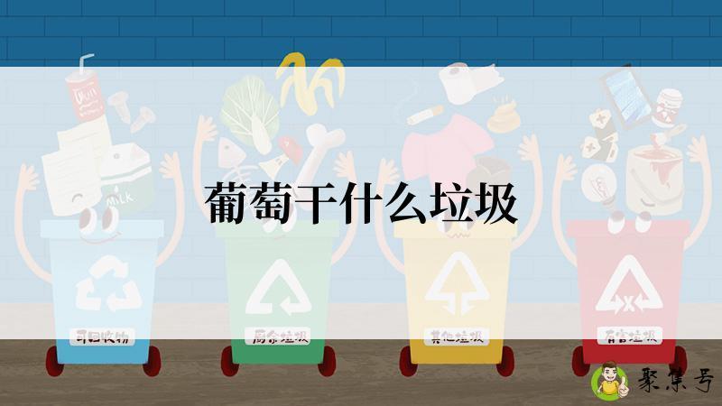 详细阅读:葡萄干什么垃圾 葡萄干什么垃圾