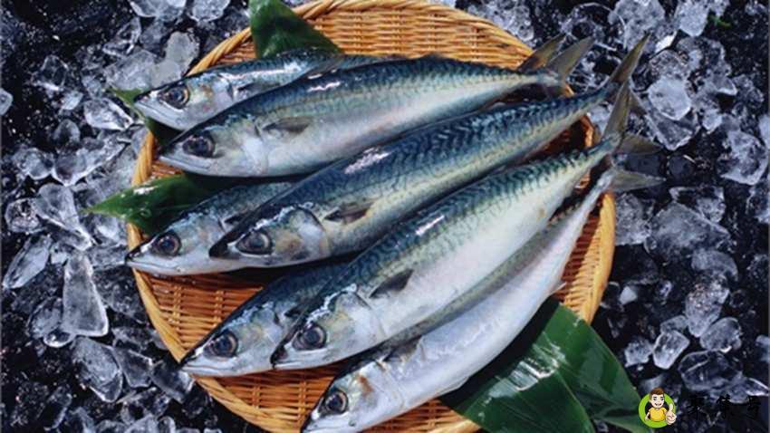 详细阅读:鱼的嗅觉能嗅多少米 鱼的嗅觉能嗅多少米