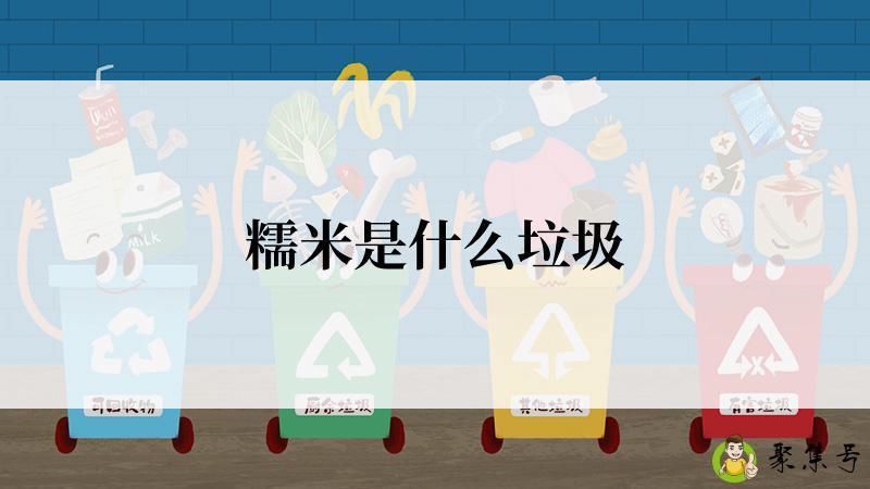 糯米是什么垃圾