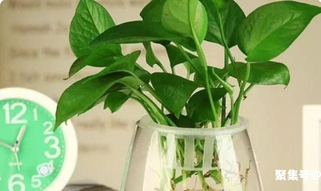 新房通风3个月能住吗?新房一定要通风三个月吗?