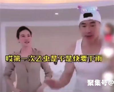 上海白蚁爆发，该如何防治？